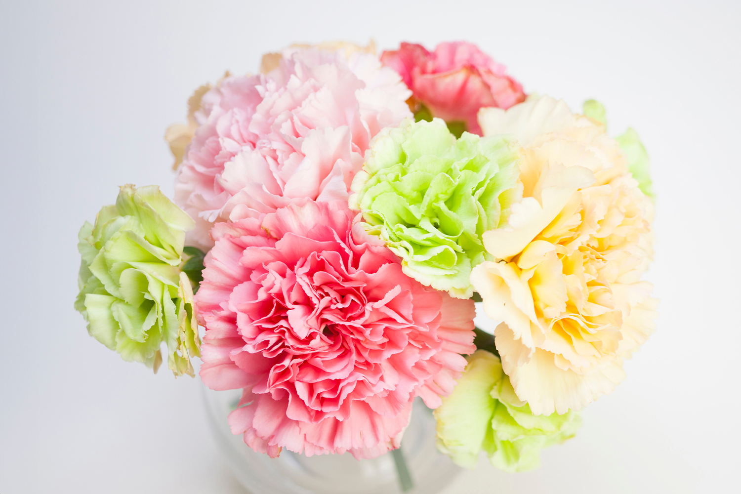 2025年の母の日は5月11日(日)