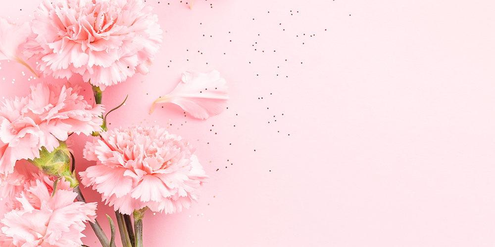 ピンク色のカーネーション