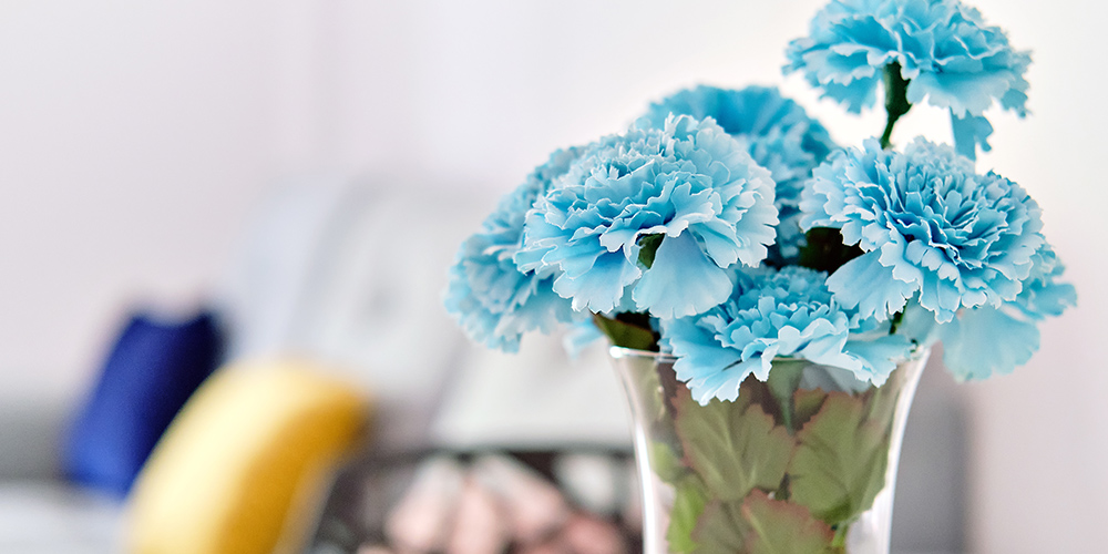 青色のカーネーション