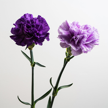 母の日におこなう「母の日参り」とは?