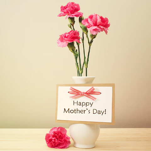 母の日とは?由来・歴史を解説